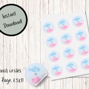 Fish-He or Fish-She Baby Gender Reveal Stickers - Team Boy or Team Girl - Pink or Blue Voting Stickers, Fishing Gender Reveal Party