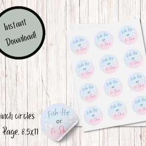 Fish-He or Fish-She Baby Gender Reveal Stickers - Team Boy or Team Girl - Pink or Blue Voting Stickers, Fishing Gender Reveal Party