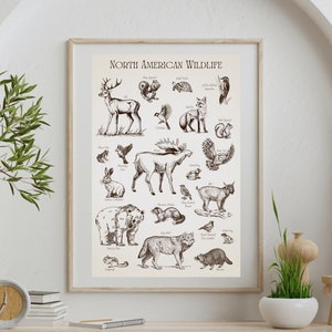 Peut inclure: Une affiche de style vintage intitulée "Faune nord-américaine" présentant des illustrations de divers animaux, dont un cerf, un renard, un ours, un loup et un raton laveur. L'affiche est imprimée sur un fond crème et encadrée d'un cadre en bois clair.
