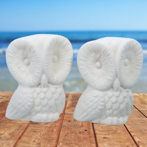 Ready to Paint Handmade Ceramic Owl Figurines / Ceramics to Paint / Owl Statues / Unpainted Bisque /Paintable Ceramics / Owl Lover Gift