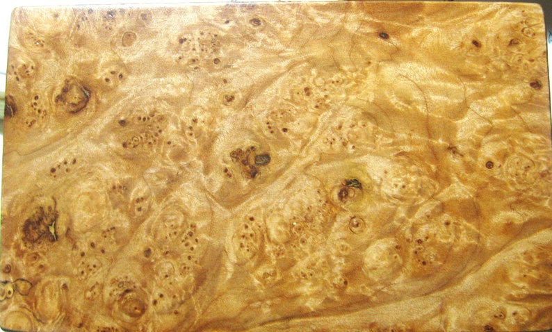 Large Maple Burl Wood Creature Treasure Box Made Of Five Woods image 2