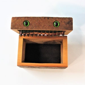 Barn Wood Creature Treasure Box With Green Feline Eyes image 6