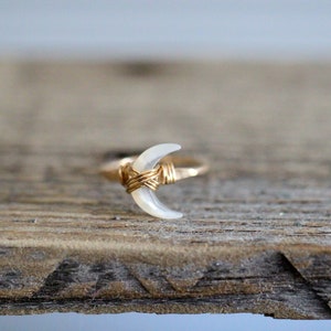 K&ouml;nnte beinhalten: Ein goldener Drahtring mit einer wei&szlig;en, halbmondf&ouml;rmigen Muschel.