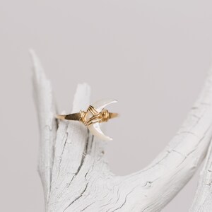 K&ouml;nnte beinhalten: Ein Ring aus goldfarbenem Draht mit einer wei&szlig;en, halbmondf&ouml;rmigen Muschel.