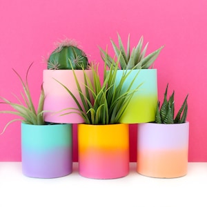 Small Gradient Ombre Planter - Cement or Ceramic - Indoor or Outdoor planter - choose your colors