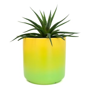 Yellow to lime green ombre gradient ceramic  planter