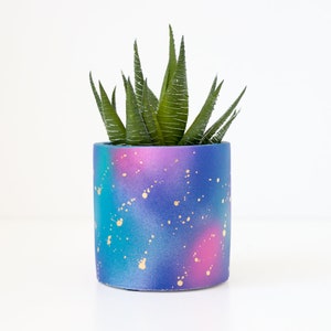 May include: A blue, pink, and gold speckled ceramic planter with a green succulent plant inside.
