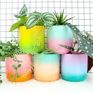 Yellow to Orange Ombre Gradient Ceramic Planter - Etsy