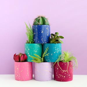 May include: A set of six colourful planters with gold flecks, each holding a different succulent plant. The planters are arranged in a pyramid shape, with the largest planter at the bottom and the smallest planter at the top.