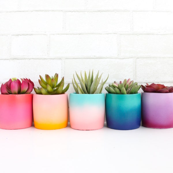 Colorful Gradient Planter - Indoor or Outdoor Planter - choose your colors