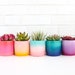 Colorful Gradient Planter - Indoor or Outdoor Planter - choose your colors 