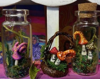 Miniature Mushrooms in a Bottle Hand Sculpted and Painted By Tessimal Free Shipping in USA