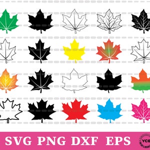 Clipart vettoriale SVG di foglia d&#39;acero personalizzata: design ritagliabile (download digitale)