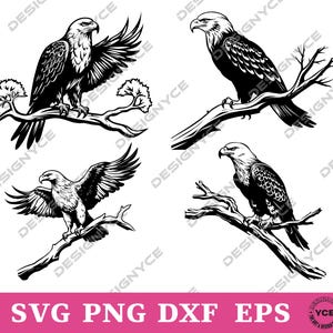 Eagle SVG, Eagle Vector, Silhouette, Cricut file, Clipart, Cuttable Design, Png, Dxf & Eps Designs.