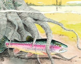 Hiding Rainbow Trout Watercolor fish Art Print 8X10 Painting Gift for the fly fisherman stream angler by Barry Singer