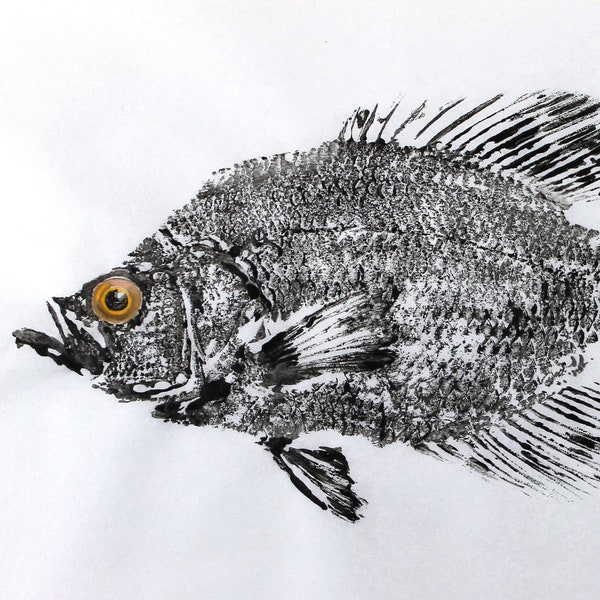 GYOTAKU fish Rubbing Crappie Calico Bass 8.5 X 11 quality Art Print Panfish Cottage Decor Fisherman Gift by artist Barry Singer