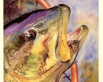 Large Mouth Bass and Net Watercolor Painting Art Print Fishing Cottage Decor 8X10 or 11x14 by Barry Singer