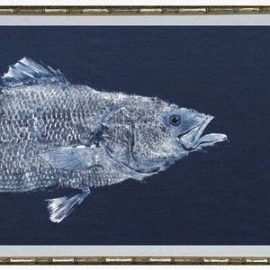 Front half of a striped Bass Gyotaku fish rubbing. White ink on a navy-blue background.