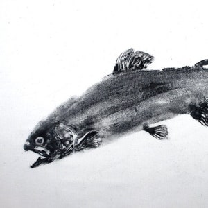May include: A black and white drawing of a rainbow trout, with the fish's mouth open and its eye visible. The drawing is on a white background and signed "Rainbow Trout" in the bottom right corner.