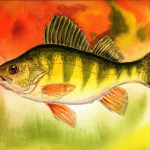 A watercolor painting of a yellow perch with a colorful background