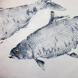 GYOTAKU fish Rubbing American Shad two sizes quality Art Print fisherman Gift by artist Barry Singer