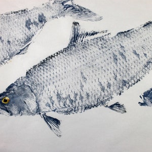 GYOTAKU fish Rubbing American Shad two sizes quality Art Print fisherman Gift by artist Barry Singer