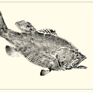 Large Size GYOTAKU fish Rubbing Large Mouth Bass Art Print 11&quot;X14&quot; Fisherman Gift quality Fresh Water Lake house picture