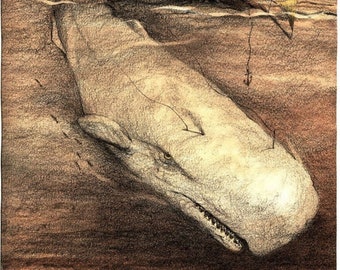 Puede incluir: Una ilustración en blanco y negro de una gran ballena que sale a la superficie del agua, con un barco hundiéndose en el fondo. La cola de la ballena es visible sobre el agua, y el barco está parcialmente sumergido. La ilustración está realizada en un estilo realista, con sombreado y textura detallados.
