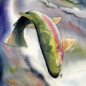 A watercolor illustration of a rainbow trout that has been hooked by a fly fisherman.