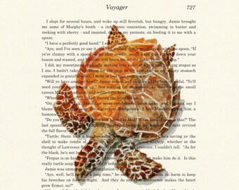 Turtle Soup 8 X 10 New Watercolor on Voyager page Art print Diana Gabaldon book from Outlander series illustration by Barry Singer
