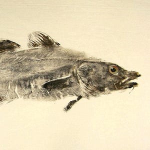 GYOTAKU fish Rubbing Atlantic Cod 8.5 X 11 Fisherman Gift quality Coastal salt Water Art Print by artist Barry Singer