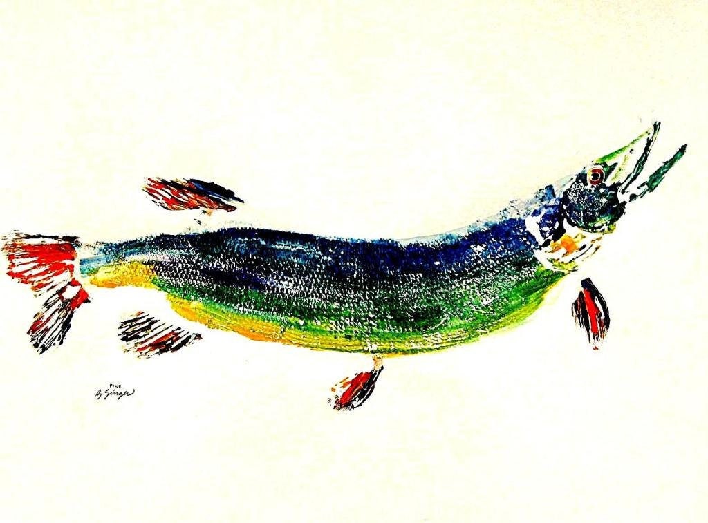 Esox Lucius - Etsy Esox Lucius - Etsy