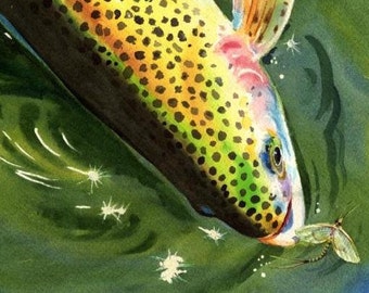 Rainbow Trout and Mayfly Watercolor fish Art 8X10 art print Cottage Decor Gift for the fly fisherman stream angler by Barry Singer