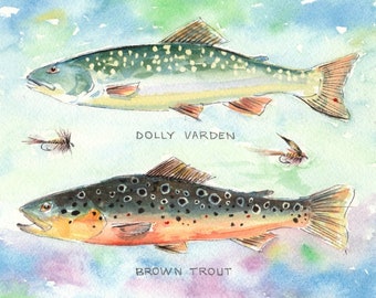 ORIGINAL Watercolor Painting Dolly Varden and Brown Trout with flies for the fly fisherman by Barry Singer
