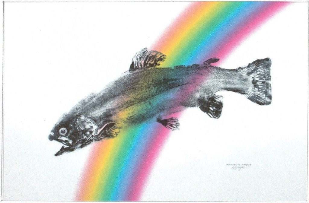 GYOTAKU Fish Rubbing Rainbow Pride Trout 8.5 X 11 Quality Art Print Cottage  Decor Fly Fishing Gift by Artist Barry Singer -  Ireland