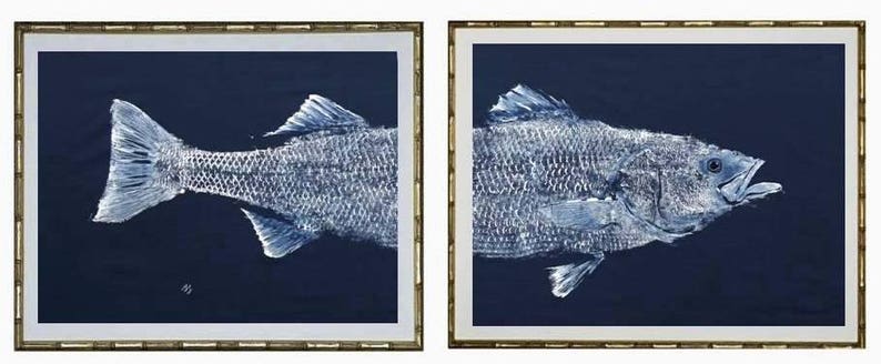 Front and back half of a striped Bass Gyotaku fish rubbing. White ink on a navy-blue background.