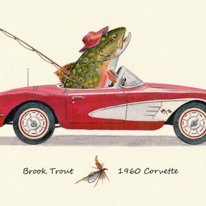 1960 Red Corvette Stingray and a Brook Trout going Fly Fishing 8 X 10 Art Print by Fish artist Barry Singer