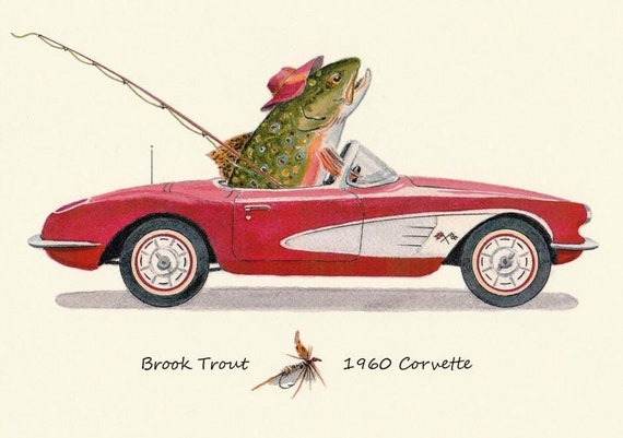 1960 Red Corvette Stingray and a Brook Trout Going Fly Fishing 8 X 10 Art  Print by Fish Artist Barry Singer -  Canada