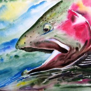 Rainbow Trout Watercolor Painting 8X10 fish art print Cottage Decor by Fishing artist Barry Singer Fly Fisherman Gift