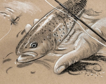 Release Trout Fish Drawing 8X10 fish art print Cottage Decor Illustration by Barry Singer Fly Fisherman Gift