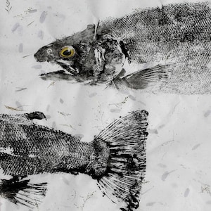 GYOTAKU fish Rubbing Steelhead Trout Head and Tail 8.5 X 11 quality Art Print Cottage Decor Fly Fishing by artist Barry Singer