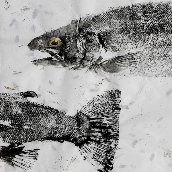 GYOTAKU fish Rubbing Steelhead Trout Head and Tail 8.5 X 11 quality Art Print Cottage Decor Fly Fishing by artist Barry Singer