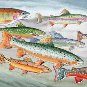 May include: Watercolor painting of eight trout fish with different color patterns. The fish are swimming in a light blue and green water background.
