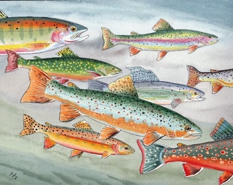 Favorite Trout Watercolor Fly Fishing Art Print 11 X 14 Cutthroat Rainbow Brook Apache Grayling Brown Golden & Dolly Varden Super Grand Slam