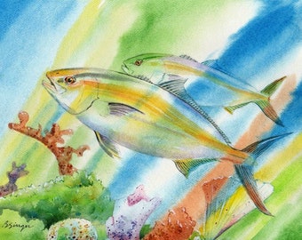 Amberjack fish Watercolor Painting Art Print fisherman gift Coastal Beach Gulf Decor 8.5 X 11 by Barry Singer