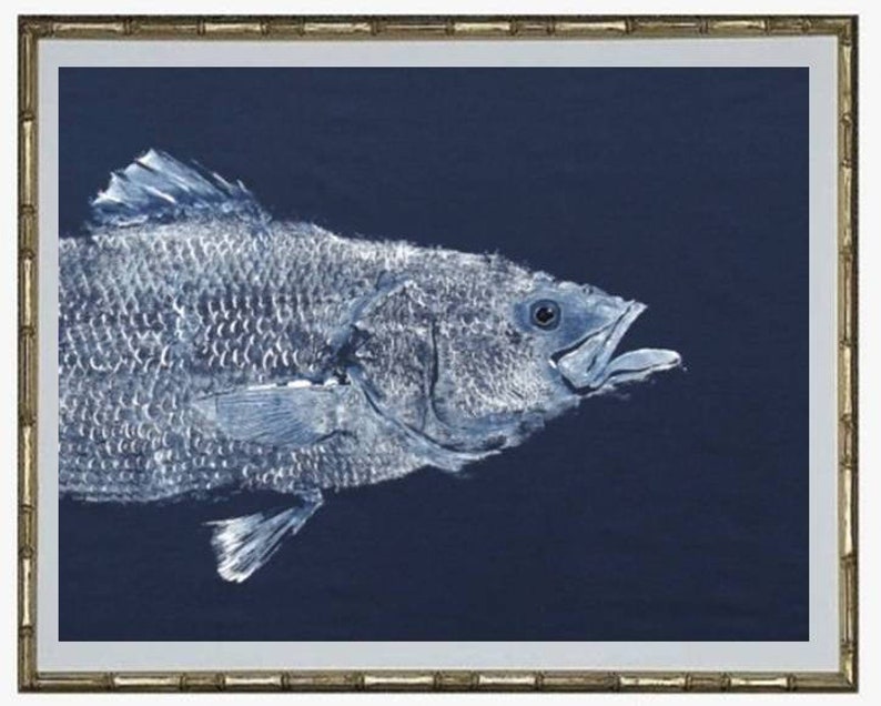 Front half of a striped Bass Gyotaku fish rubbing. White ink on a navy-blue background.