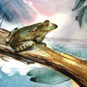 8x10 Green Frog on a log Best cottage Lake House decor Bull Frog Watercolor art print by Barry Singer