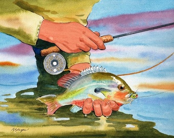 Red Breast Sunfish Watercolor 8X10 Art Print fly fishing Illustration by fish artist Barry Singer