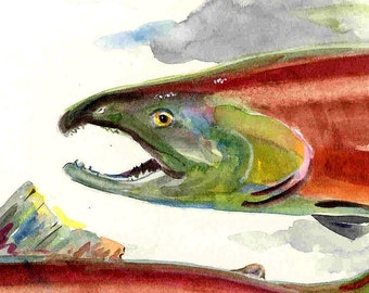 Sockeye Salmon Fly Fisherman Gift 8 1/2 X 11 Watercolor fishing Art Print by Barry Singer Best Cottage Fish decor