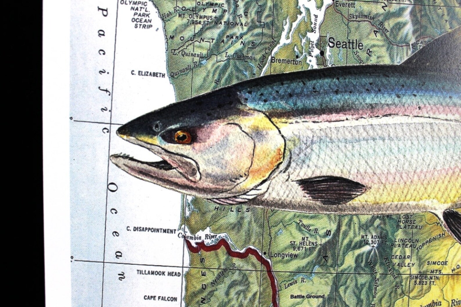 Washington Salmon Fish Art Watercolor Painting on 8X10 Map Etsy